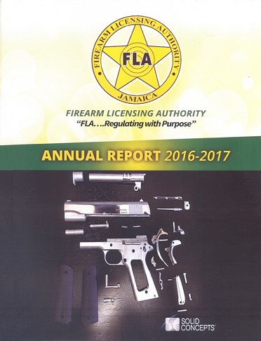 report 2016-2017